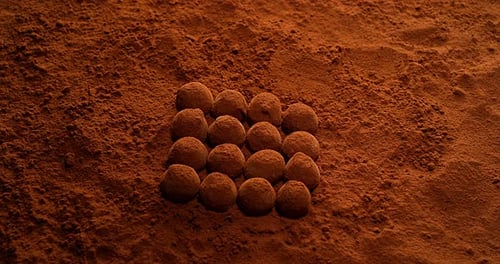 Chocolate Truffles Dusted with Cocoa Powder