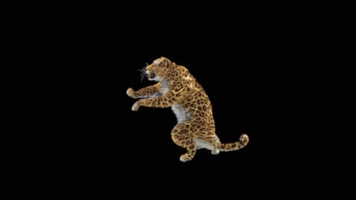 76 Leopard Standing Magic Attack HD