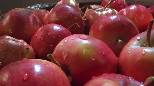 Red Juicy And Healthy Fruit Apple 5