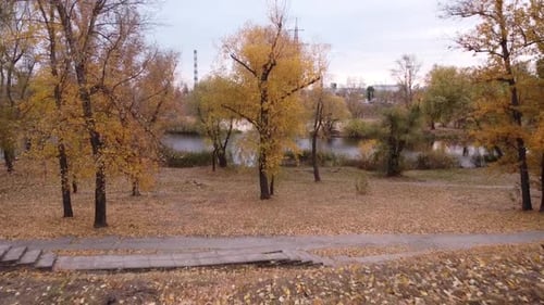Autumn Park, Luftaufnahme