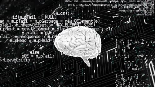 Cerebro gris girando en la placa de circuito de