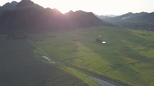 Vue d'en haut : champs de cacahuètes segmentés contre