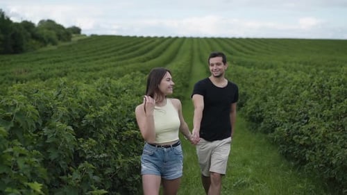 Lovely Couple Walks Among Currant Plantation and Man Twisting Girl