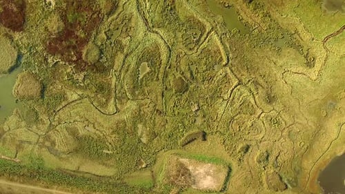 Abstract aerial view of wetlands landscape in the Netherlands.