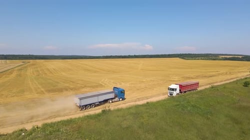 Aerial View of Cargo Truck Driving on Dirt Road Between Agricultural Wheat Fields Making Lot of Dust