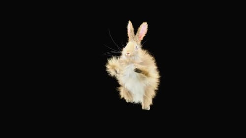 Animated Fluffy Rabbit Dancing on Hind Legs