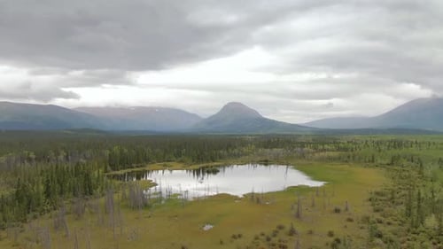 Peaceful View of Pond and Marshland, Surrounded By Forest and Mountains