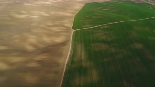 Campos de primavera sembrados ucranianos de marrón y verde