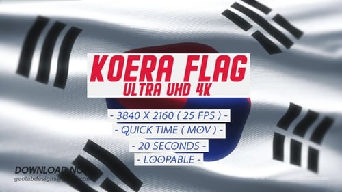 Waving South Korean Flag with Realistic Fabric Texture