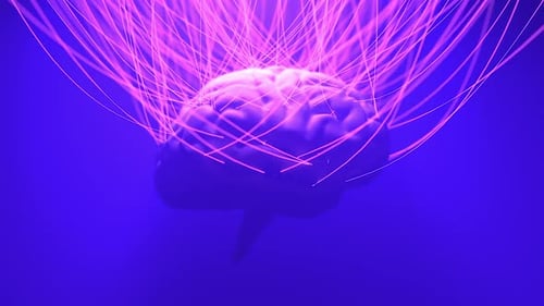 Brain with Many Connected Wires