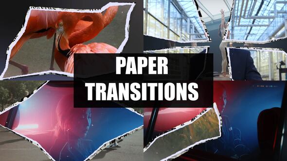 Paper Transitions, Elements ft. paper transition reel & transition - Envato