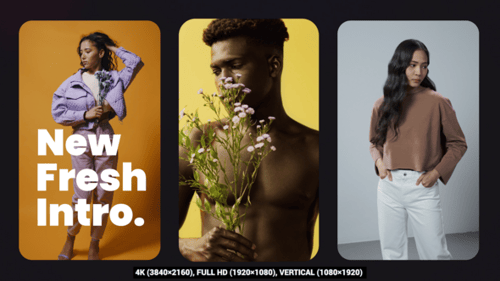 Modern Multi-Frame Split Screen Intro with Rounded Layouts