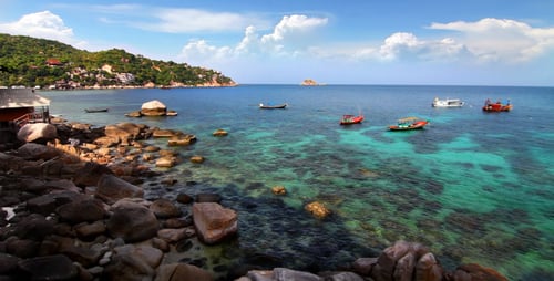 Rocky shore and boats loop