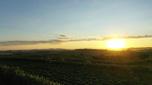 Golden Sunrise Over Vast Rural Farmland Landscape