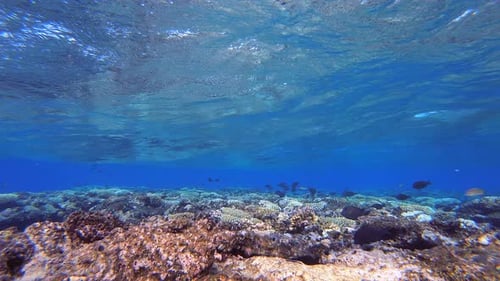 Blaue Unterwasserwellen