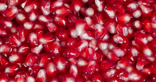 Grains of Pomegranate Rotate Slowly. Macro Background.