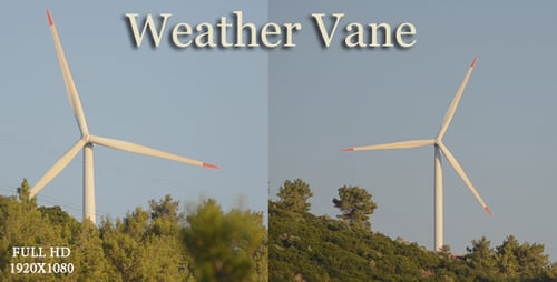 Wind Turbine Spins by Evergreen Trees on Sunny Day