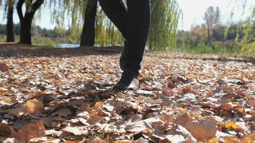 Female Legs Walking on Fallen Autumn Leaves in the Park in Slow Motion