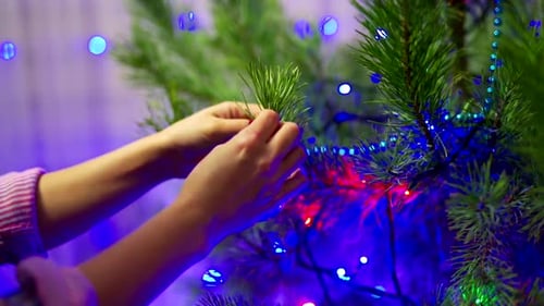 Female hands decorating Christmas tree. Close up of woman hanging decorative toy on Christmas tree b