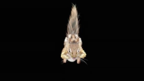 Chipmunk: Tanzen HD
