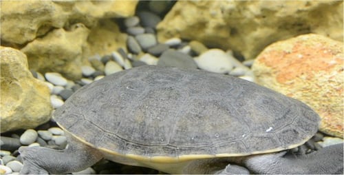 Underwater World 9