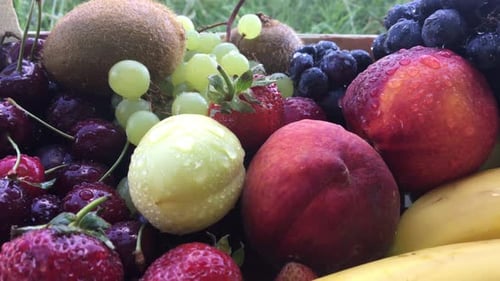 Fresh Fruit