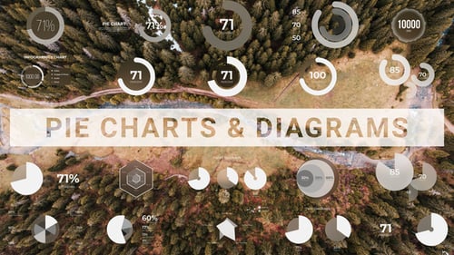 Pie Charts & Diagrams