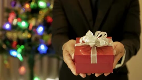 Person Presents Christmas Gift near Holiday Tree