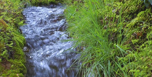 Small Creek