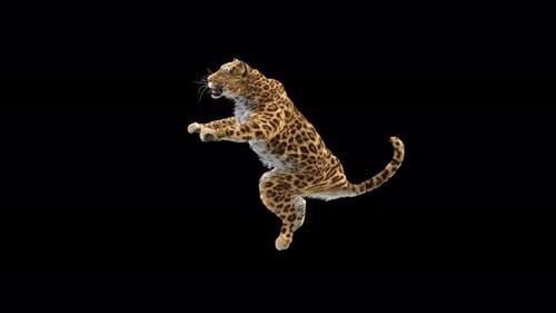 Leopard 4K