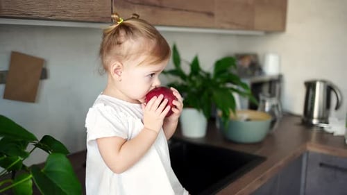 Sweet Child Enjoys a Red Apple in Kitchen