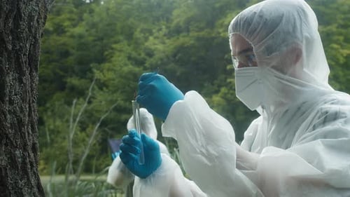 Scientists Collecting Samples from Tree in Forest