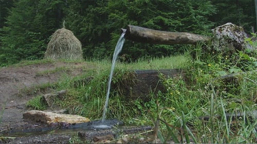 Federdurchgehende Holzpfeife