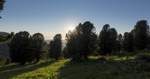 Mountain Meadow Zeitraffer. Wilde Natur und ländliches Feld. Wolken, Bäume, grünes Gras und Sonnenstrahlen