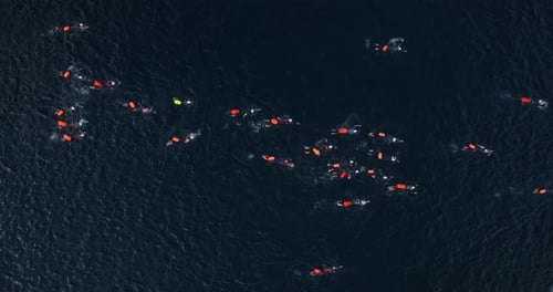 Open Water Swimming Competitions