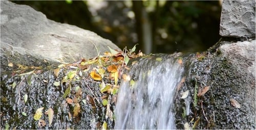 Mountain Stream 3