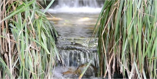 Mountain Stream 6