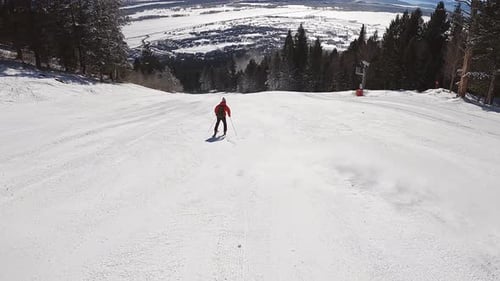 Group of Fun People Skiing Downhill on Beautiful Snowy Mountain in Forest Landscape. Winter Sports
