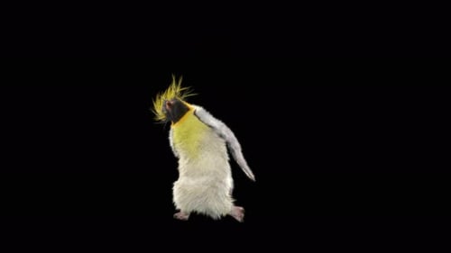 Penguin Dancing 4K