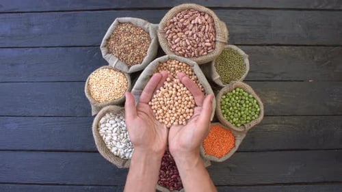 Hands Holding Chickpeas Above Variety of Dried Legumes