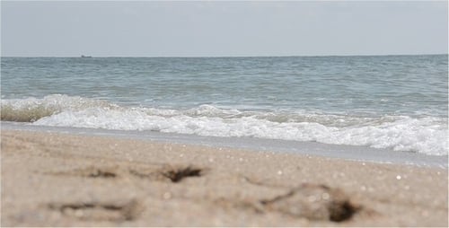 Meer 8