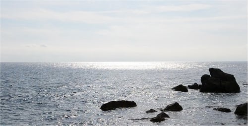 Meer 7