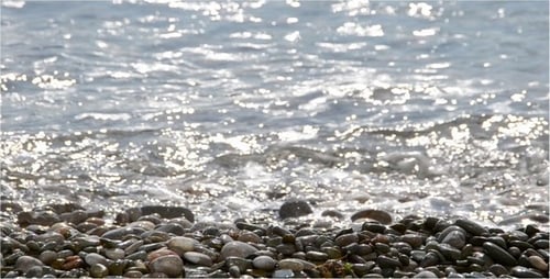Meer 17