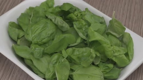 Fresh Basil Leaves in Bowl on Wood Table