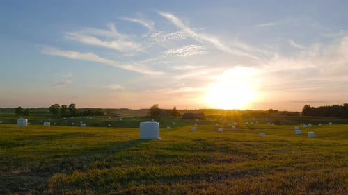 Hay Bales Dot Field during Sunset