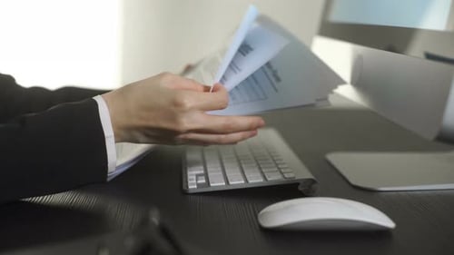 Business Woman Working In Office