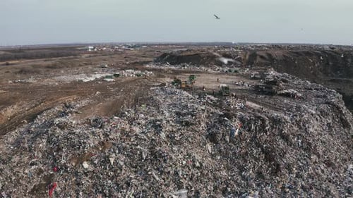 Aerial View on City Rubbish Dump with Flocks of Seagulls