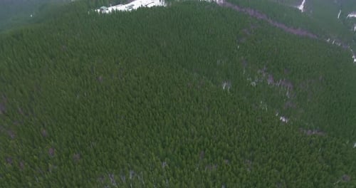 Aerial View of Wooded Mountains, Wonderful Flight To the Beautiful Forest in the Mountains, Aerial