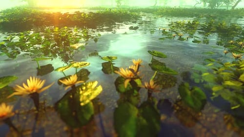Golden Hour Over Serene Lotus Pond with Lily Pads
