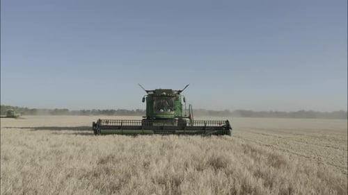 Combine Harvesting Wheat Top View of a Wheatfield